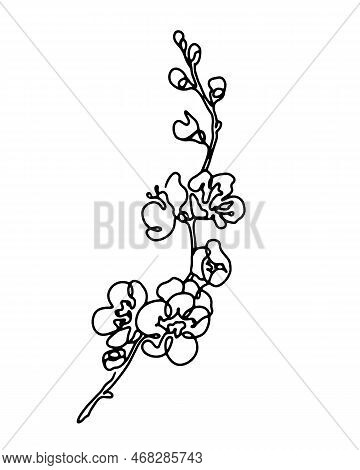 Cherry Blossom Branch Abstract Line Art Drawing, Sprimg Sakura Bloom Hand Drawn Monochrome Outline V