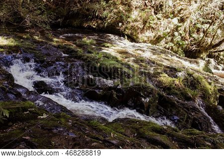 Mclean Falls, Catlins, South Island, New Zealand