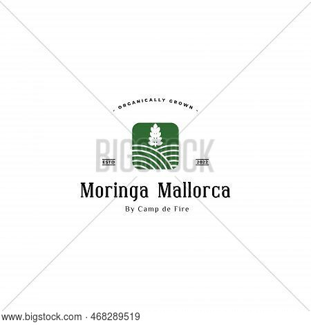 Moringa Leaf Logo Design Inspiration. Moringa Plantation Logo.
