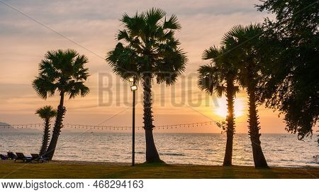 Palm Trees At The Beach At The Beach During Sunset At Na Jomtien Pattaya Thailand