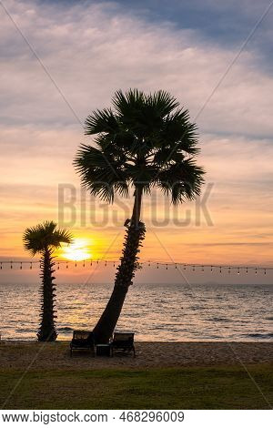 White Tropical Beach During Sunset In Pattaya Najomtien. Palm Trees At The Beach During Sunset