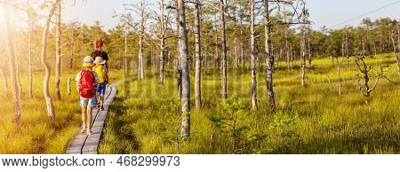 Group Of The People Walking On The Broadwalk On The Bog. Concept Of The Recreation And Vacation Toge