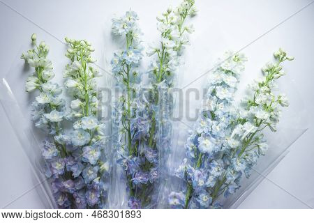 Bouquets Of Blue Delphinium Flowers Wrapped In Transparent Paper, Isolated On White Background. Bunc