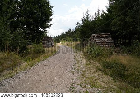 Forest Dieback Due To Climate Change, Drought And Storms And Deforestation As A Raw Material