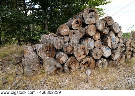 Forest Dieback Due To Climate Change, Drought And Storms And Deforestation As A Raw Material