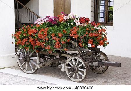 Carretilla de flor