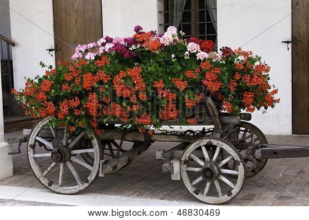 Carretilla de flor