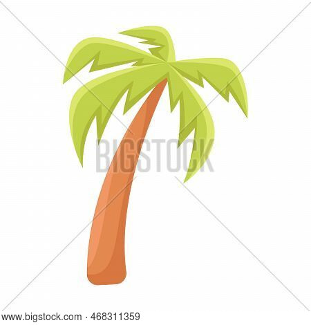 Comic Tropical Date Or Coconut Palm With Broad Leaves Vector Illustration. Cartoon Isolated On White