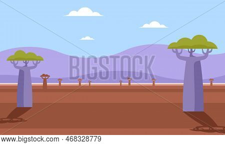 Baobab Trees Landscape With Clear Sky Background Vector Design
