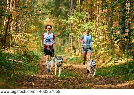 Svetly, Kaliningrad Oblast, Russia - October 2, 2021 - Canicross Exercises, Young Man And Adult Woma