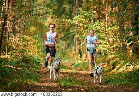 Svetly, Kaliningrad Oblast, Russia - October 2, 2021 - Canicross Exercises, Young Man And Adult Woma