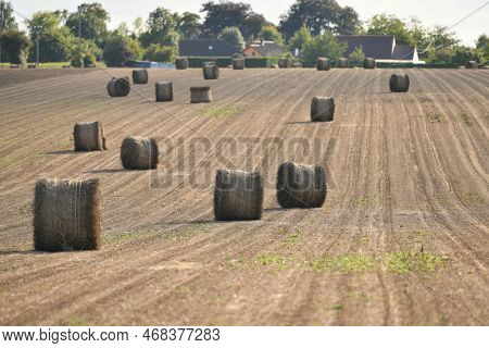 Bale Of Dry Flax On The Field In Normandy France