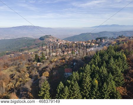 Aerial View Of Old Sequoia Forest Near Village Of Bogoslov, Bulgaria