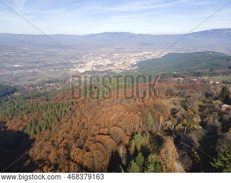Aerial View Of Old Sequoia Forest Near Village Of Bogoslov, Bulgaria