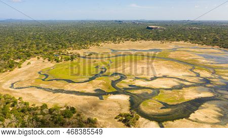 Tropical Landscape: Lakes And Swamps In The National Park Among Tropical Vegetation. Sri Lanka.