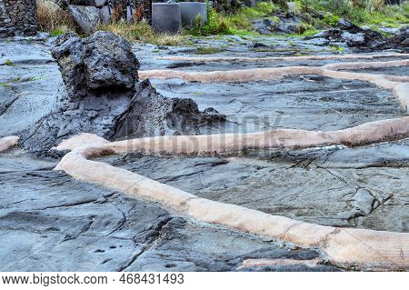 Closeup Of Volcanic Salt Flats On Jeju Island In South Korea.