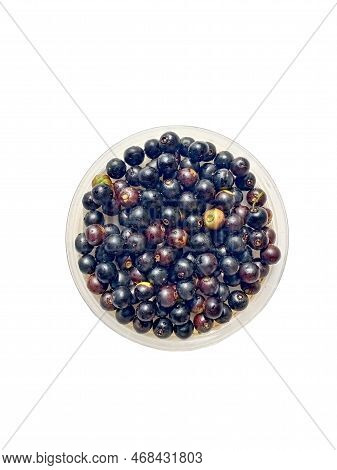Jackal Jujube Isolated On A White Background. Selective Focus.