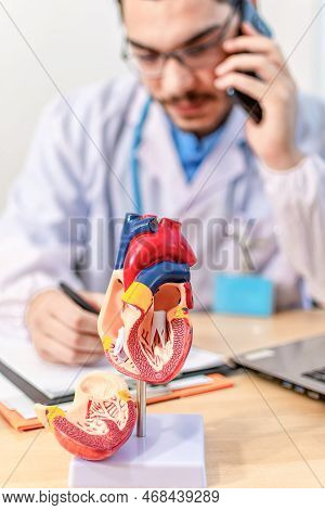 Anatomical Structure, Physiology Of The Heart, Cardiovascular System, Medicine, Education, Anatomy C