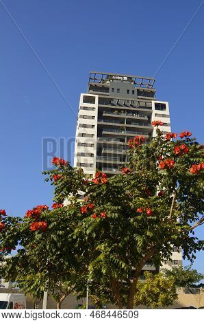 Modern Residential Building, Glass Balconies, White Facade Cladding. Blooming African Tulip Tree Und
