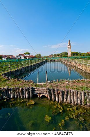 เวนิสแหล่ง Mazorbo องุ่น