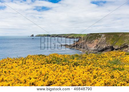 Wales pobřežní pohled směrem k Skomer ostrov Pembrokeshire, oblasti známé pro papuchalků, volně žijící zvířata a příroda