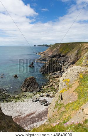 Velšský pobřežních scény na Skomer ostrově Pembrokeshire, oblasti známé pro papuchalků a volně žijící zvířata