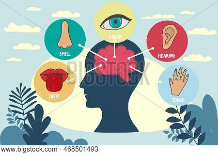 Five Human Senses Line Icons Set. Vision, Smell, Hearing, Touch, Taste Icons. Human Sensory Organs.