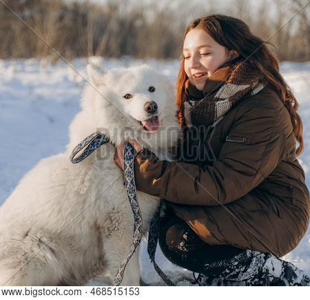 Winter Walk With Your Favorite Samoyed Pet. Love For Dogs. Walking The Dog In Anticipation Of Christ