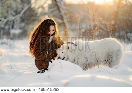 Winter Walk With Your Favorite Samoyed Pet. Love For Dogs. Walking The Dog In Anticipation Of Christ