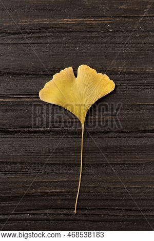 Dry Yellow Leaf On A Structural Wooden Background Top View. Autumn Leaf On A Dark Background. Dry Le
