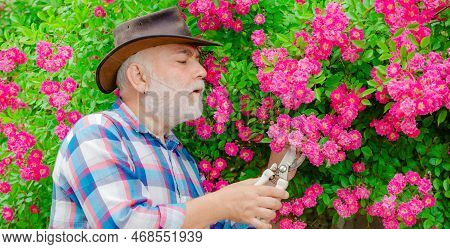 Retired Gardener Senior Portrait, Spring Banner. Happy Farmer In Cowboy Hat Having Fun On Field. Ret