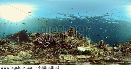 Tropical Coral Reef And Fishes Underwater. Tropical Fishes And Coral Reef Underwater. . Travel Vacat