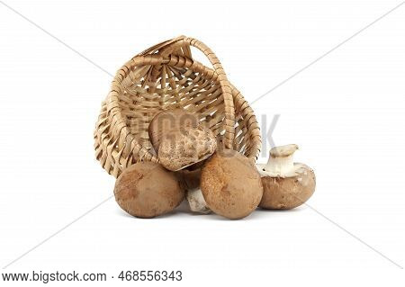 Fresh Baby Bella Or Cremini Whole Mushrooms In Front Of Wicker Basket Isolated On White Background
