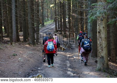 Carpathian Mountains, Ukraine - October 8, 2022 Mount Hoverla. Carpathians In Ukraine In Autumn. Tou