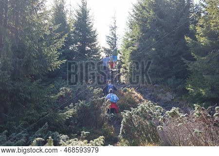 Carpathian Mountains, Ukraine - October 8, 2022 Mount Hoverla. Carpathians In Ukraine In Autumn. Tou