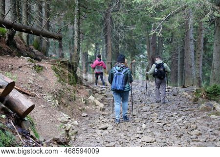 Carpathian Mountains, Ukraine - October 8, 2022 Mount Hoverla. Carpathians In Ukraine In Autumn. Tou
