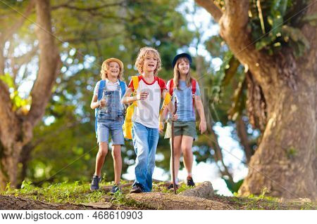 Kids Explore Nature. Children Hike In Sunny Summer Park. Scout Club And Science Outdoor Class. Boy A