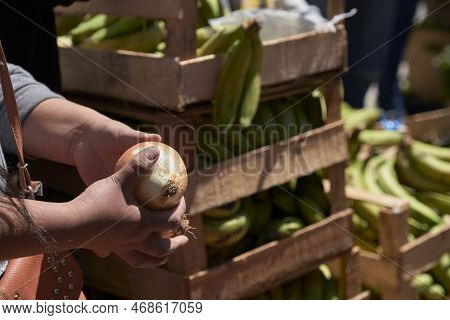 Female Hands Holding Organic Agroecological Onions Near Stacks Of Banana Crates, Outdoors. Concepts: