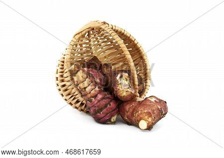 Jerusalem Artichoke (helianthus Tuberosus), Also Called Sunroot, Sunchoke, Wild Sunflower Or Topinam