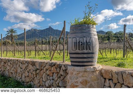 Felanitx, Spain; January 05 2023: Vi D'auba Winery And Vineyard Cultivation In The Mallorcan Town Of