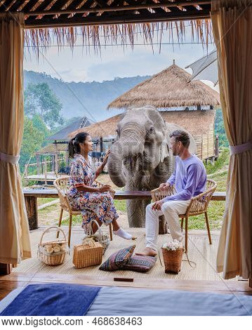 Couple Visiting A Elephant Sanctuary In Chiang Mai Thailand, Elephant Farm In The Mountains Jungle
