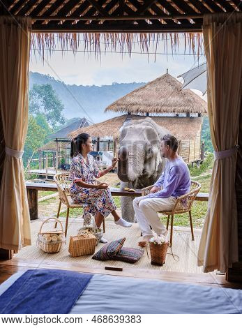 Couple Visiting A Elephant Sanctuary In Chiang Mai Thailand, Elephant Farm In The Mountains Jungle