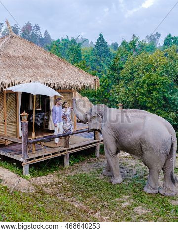Couple Visiting A Elephant Sanctuary In Chiang Mai Thailand, Elephant Farm In The Mountains Jungle