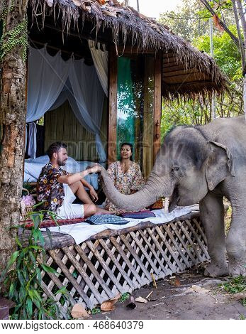 Couple Visiting A Elephant Sanctuary In Chiang Mai Thailand, Elephant Farm In The Mountains Jungle