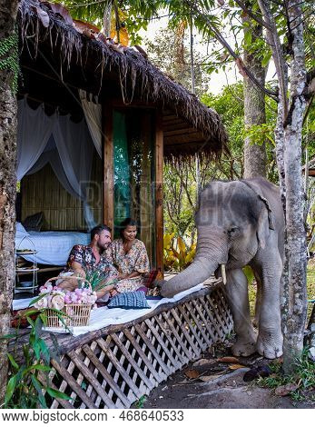 Couple Visiting A Elephant Sanctuary In Chiang Mai Thailand, Elephant Farm In The Mountains Jungle