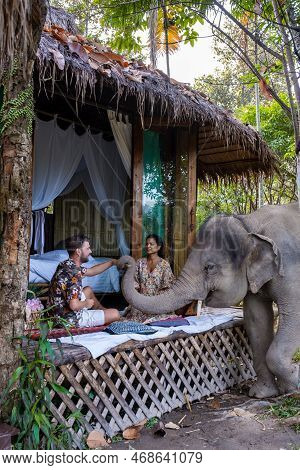 Couple Visiting A Elephant Sanctuary In Chiang Mai Thailand, Elephant Farm In The Mountains Jungle
