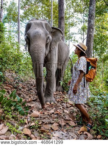 Asian Women Visiting A Elephant Sanctuary In Chiang Mai Thailand, Girl With Elephant In The Jungle