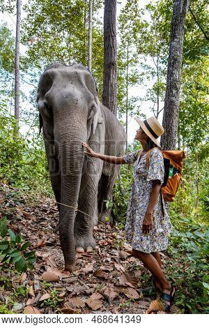 Asian Women Visiting A Elephant Sanctuary In Chiang Mai Thailand, Girl With Elephant In The Jungle