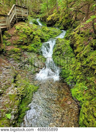 Scenic Dickson Falls In Fundy National Park