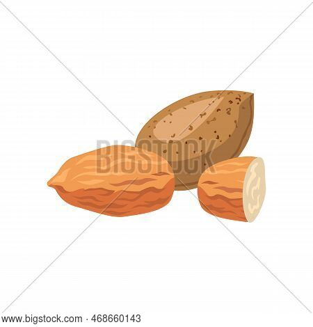 Almonds For Creating Your Own Ice Cream. Almonds Cartoon Illustration. Summer, Sundae Concept